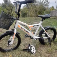 دوچرخه سایز۱۶|دوچرخه، اسکیت، اسکوتر|گنبد کاووس, |دیوار