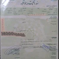 موتور سیکلت مدل ۸۹|موتورسیکلت|شاهرود, |دیوار