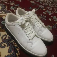 کفش نو سایز۴۴