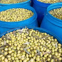 عمده زیتون روغن زیتون سیرترشی رب انار و...