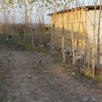 معاوضه با خودروفروش ۲۱۳متر زمین ۳کیلومتر دریا