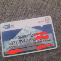 پیداشده