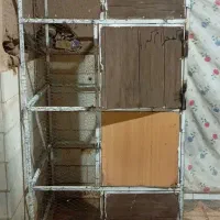 قفس|لوازم جانبی حیوانات|اردکان, |دیوار