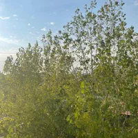 ویلاباغ ۵۰۰ زمین ۲۰۰ بنابدون مشابه در*اول مهراباد*|فروش خانه و ویلا|رودهن, |دیوار