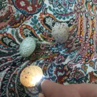 سنگ زینتی|جواهرات|قم, بنیاد|دیوار