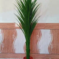 درختچه مصنوعی آلوورا طبیعینما ۱۲۰ سانت|گل مصنوعی|رامشیر, |دیوار