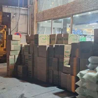 پخش ظروف گیاهی آملون