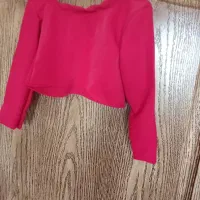 پرنسس گل ها