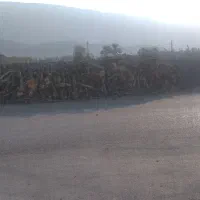 فروش چوب مرکبات