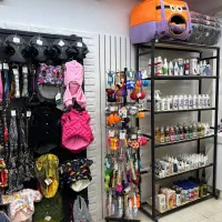 پت شاپ پاپت|لوازم جانبی حیوانات|مشهد, نیروی هوایی|دیوار