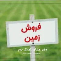 زمین قطعه 8 باراجین پلاک 36