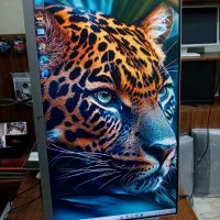 مانیتور ۲۴ اینچ فریم لس برند HP|قطعات و لوازم جانبی رایانه|بابل, |دیوار