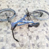 فروش دوچرخه|دوچرخه، اسکیت، اسکوتر|رامهرمز, |دیوار