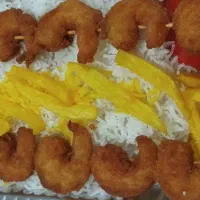 نیروی ساده خانم