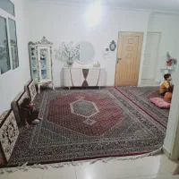 فرش ۵۰۰ شانه