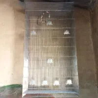 قفس پرنده بزرگ