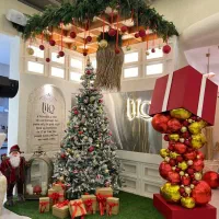 اجاره و فروش درخت کریسمس دکور ژورنالی|گل مصنوعی|تهران, نیاوران|دیوار