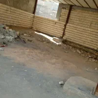 بنایی وساخمان سازی|خدمات پیشه و مهارت|اراک, |دیوار