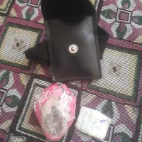 سگ عجوج مجوج نایاب