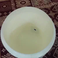 کلمن نو نو|ظروف نگهدارنده، پلاستیکی، یک‌بارمصرف|اهواز, نادری|دیوار