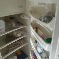 یخچال|یخچال و فریزر|رودهن, |دیوار