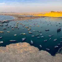 لیدر‌گرد‌شگری‌‌