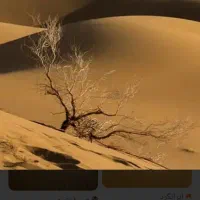 تور یک نیم روزه کویر ابوزیدآباد نوش آباد|تور و چارتر|تهران, ستارخان|دیوار