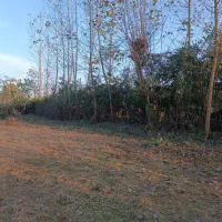 خدمات باغی چمن زنی علف زنی تمیز کردن علف