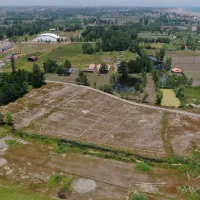 زمین شهرکی در شهرک ساحلی 60 قطعه ای سرمایه گذاری|فروش زمین و ملک کلنگی|رشت, پاستوریزه|دیوار