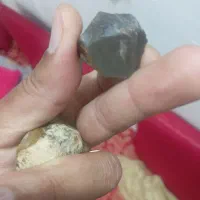 فروش سنگ حقیقت ،شجر پاییزی