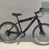 دوچرخه حرفه ای اورلورد|دوچرخه، اسکیت، اسکوتر|دهق, |دیوار