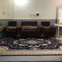 قالی|فرش|طرقبه, |دیوار