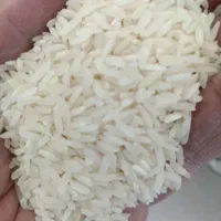 آشپز رایگان وصلواتی برای مراسم