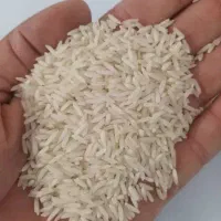 برنج طارم هاشمی درجه یک|خوردنی و آشامیدنی|اسلامشهر, شهرک مفیدی|دیوار