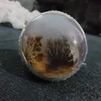 انگشتر شجر قاعنات و یاقوت سیلان|جواهرات|تهران, پرستار|دیوار