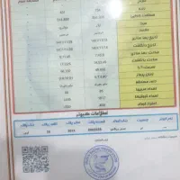 کبوتر|پرنده|خرمشهر, |دیوار