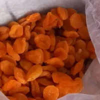 قیسی زردالوی اعلا