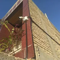 فروش و نصب انواع دوربین مداربسته و دزدگیر اماکن|خدمات پیشه و مهارت|دوگنبدان, |دیوار
