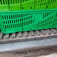 نیسان یخچالدار|خودرو سواری و وانت|رشت, کوی فکوری|دیوار