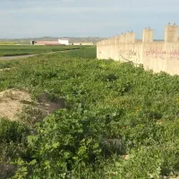 ۸۲۰۰متر زمین مجوز گاوداری بر جاده و سازه نیمه کار|فروش دفتر صنعتی، کشاورزی، تجاری|گنبد کاووس, |دیوار