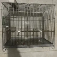 قفس
