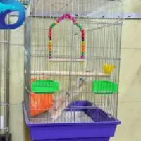 قفس رنگی بزرگ