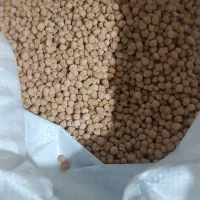 فروش نخود زردوسفید آسان پخت