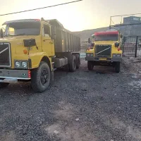 ولو اردی و میوسر و ۶۴ ایرانی