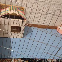 قفس و پارک خرگوش و یونجه|لوازم جانبی حیوانات|تهران, دریا|دیوار