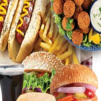 تهیه غذا و فست فودی