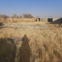 مجتمع دامداری و باغ ۳۰۰۰ متری|فروش دفتر صنعتی، کشاورزی، تجاری|اراک, |دیوار