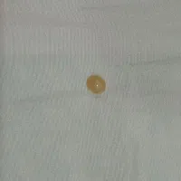 نگین باباغوری و یاقوت|جواهرات|لار, |دیوار