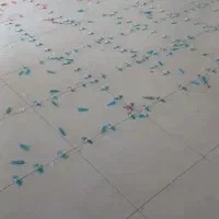 استا کاشیکار