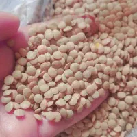 مویز شیره انگور لوبیا نخود عدس بادام  آبغوره  میده